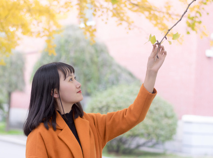 到菲律宾旅游可以免签证吗(旅游免签详解)